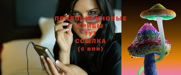 экстази Богородск
