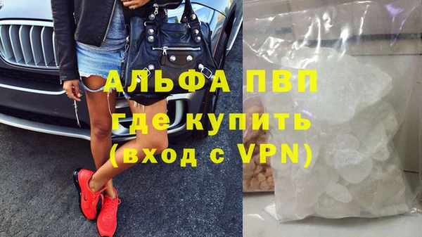 эйфоретик Богданович