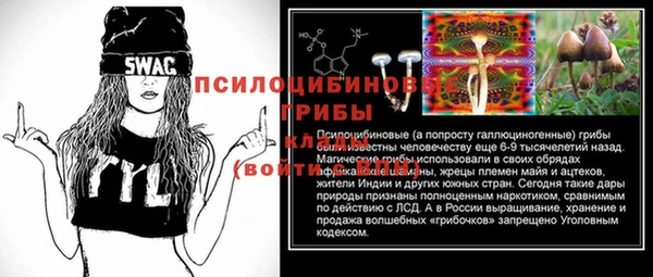 экстази Богородск
