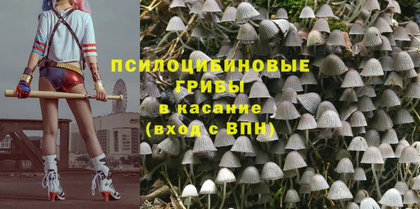 эйфоретик Богданович