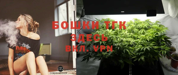 экстази Богородск