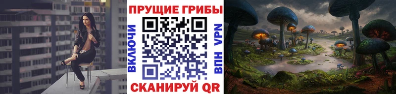 Галлюциногенные грибы ЛСД Борисоглебск