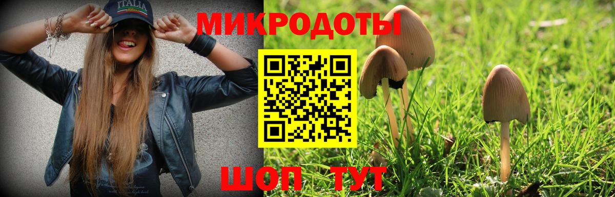 Псилоцибиновые грибы GOLDEN TEACHER Борисоглебск